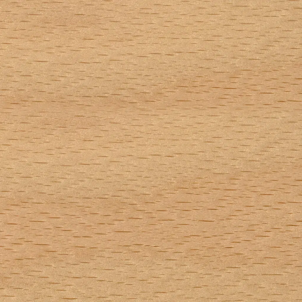 Beech Timber $39ex
